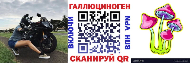 купить наркотик  Ермолино  Галлюциногенные грибы MAGIC MUSHROOMS 